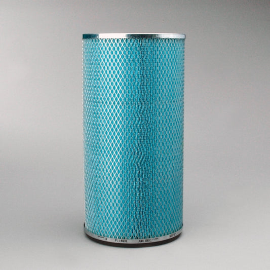 P114931 AIR FILTER, SAFETY