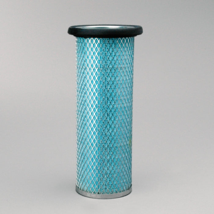 P119374 AIR FILTER, SAFETY