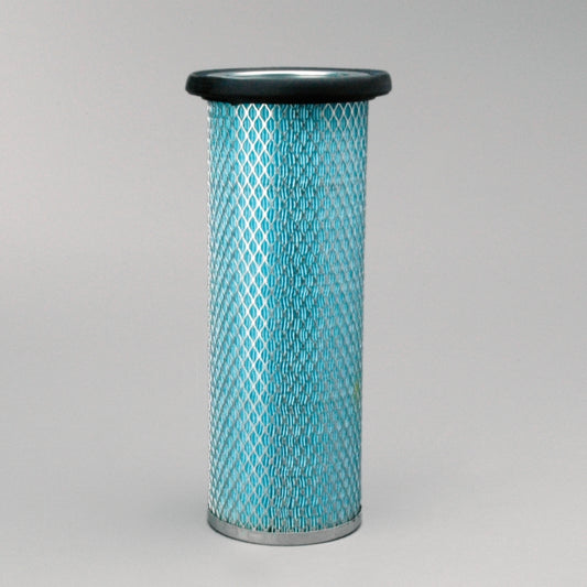 P119374 AIR FILTER, SAFETY